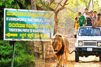 kudremukh national park, chikmagalur tourism package