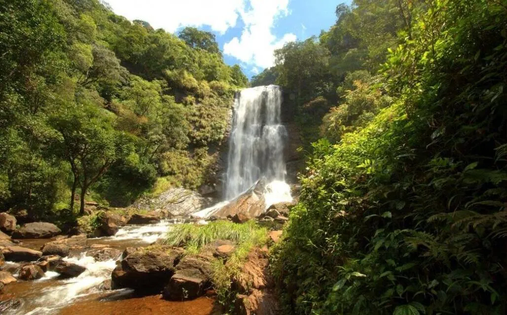 Hebbe falls Chikmagalur tourist attraction best time to visit