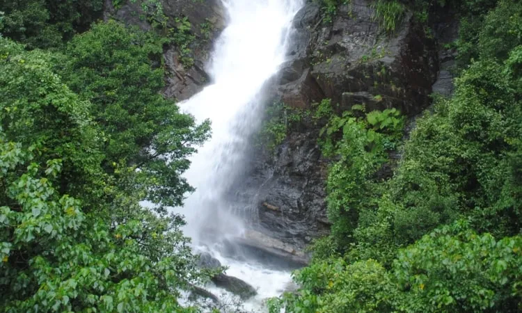 ಕಡಂಬಿ ಜಲಪಾತ ಚಿಕ್ಕಮಗಳೂರು (ಪ್ರವೇಶ ಶುಲ್ಕ, ಸಮಯ, ಪ್ರವೇಶ ಟಿಕೆಟ್ ವೆಚ್ಚ, ಬೆಲೆ,  ನಕ್ಷೆ ಮತ್ತು ದೂರ)