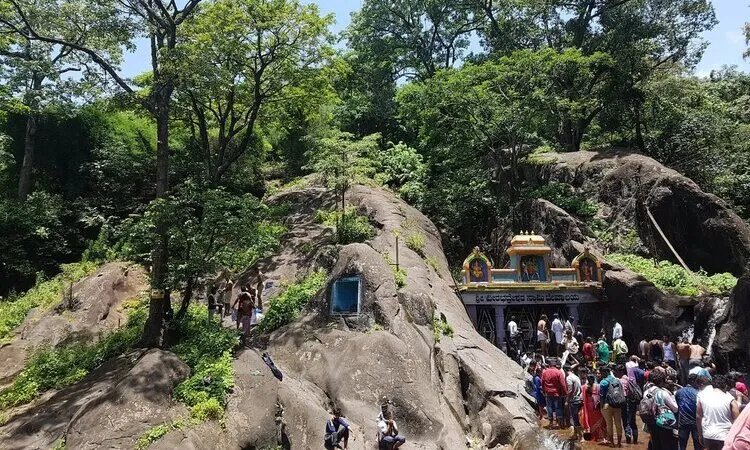 Kallathigiri falls Chikmagalur tourist attraction image-gallery