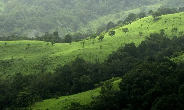 kudremukh Chikmagalur tourist attraction photo gallery