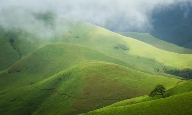 kudremukh Chikmagalur tourist attraction holidays closed on timings