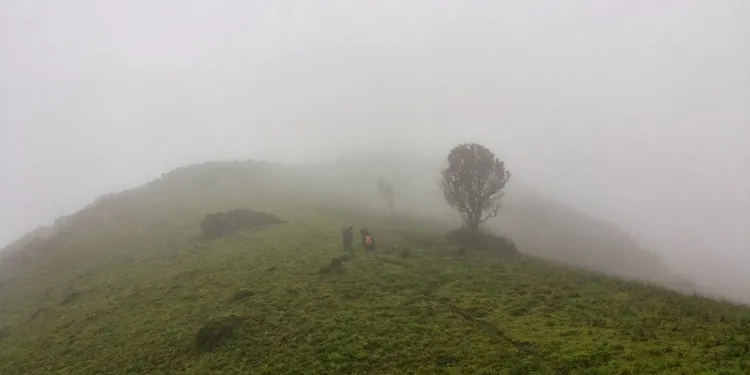 Bababudan Giri, Chikmagalur