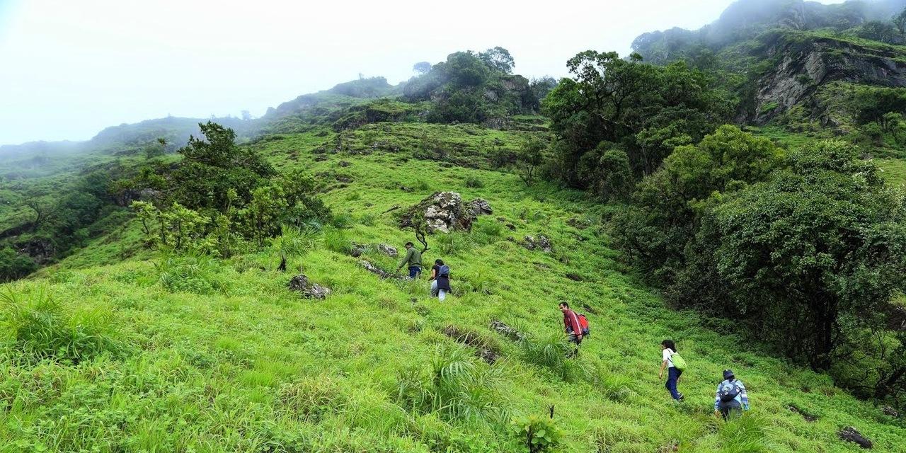 Mullayanagiri, Chikmagalur Trekking